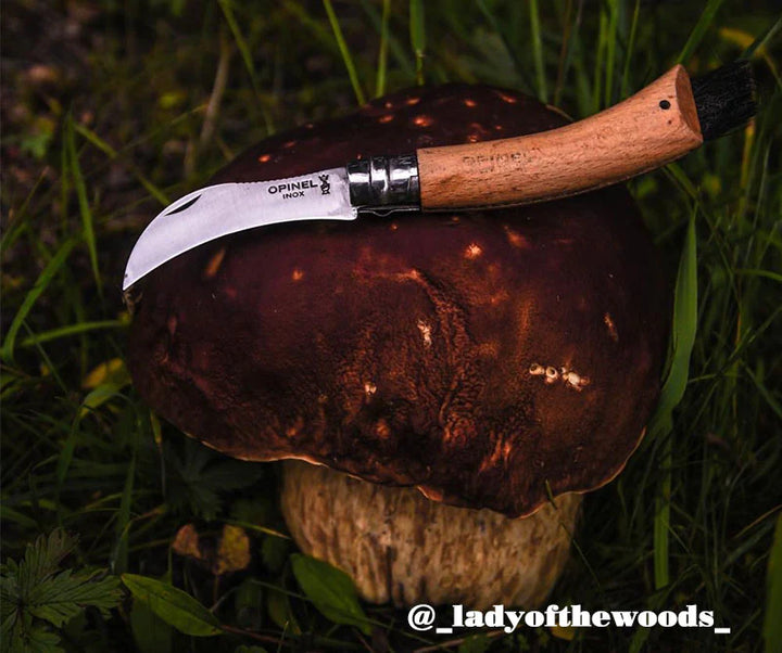 Meet the Opinel foraging community
