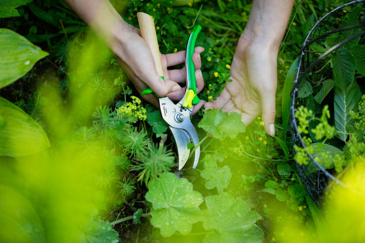 How to Build Your Gardening Tool Kit
