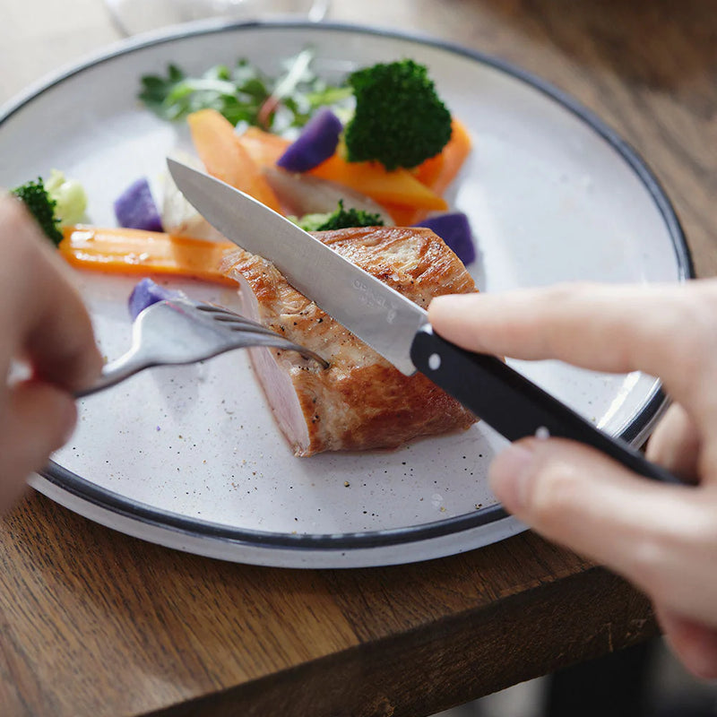 Bon Appétit Table Knife Pro N°125 - Pack of 12