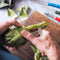 Les Essentiels Vegetable Knife N°114 Paysage