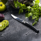 No.10 Effilé Stainless Steel Slim Folding Knife - Ebony