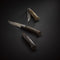 N°08 Limited Edition Black Palm Tree