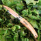 N°08 Folding Gardening Knife