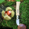 N°07 Chestnuts, Garlic, Pitt