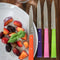 N°112 Stainless Steel Paring Knives 4PC Set