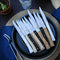 Facette Smooth Table Knives 4PC Set - Mixed
