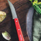 Les Essentiels Vegetable Knife N°114 Paysage