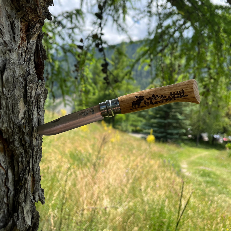 No°08 Oak Engraved Handle Folding Knife - Animalia (Blister Packaging)