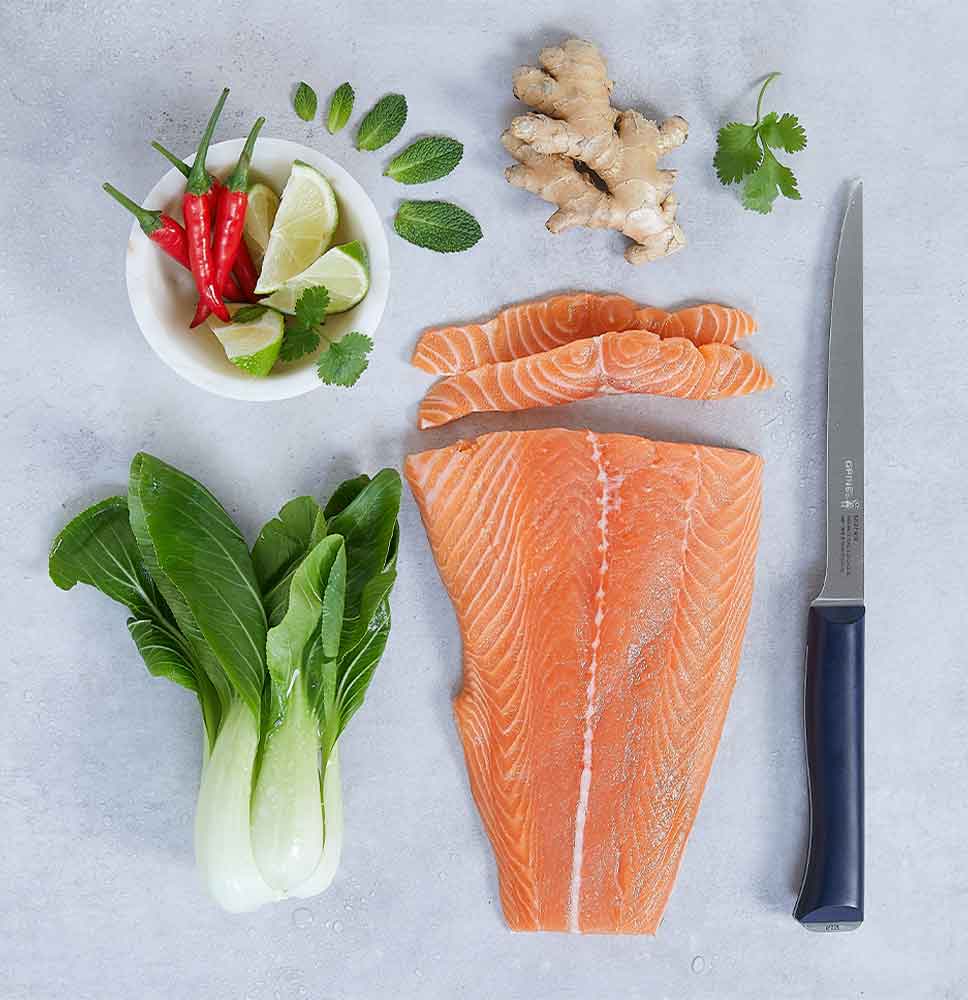 Opinel N°221 Fillet Intempora | Fillet Knife | Kitchen Knife – Opinel ...
